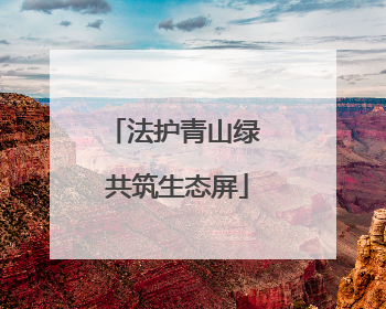 法护青山绿 共筑生态屏